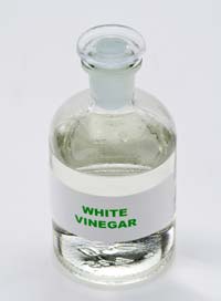 Dirtblaster Home Deep Cleaning Services in Pune