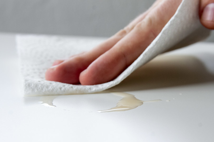Tips To Remove Dog Smell From Your Home