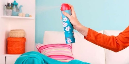 Tips To Remove Dog Smell From Your Home