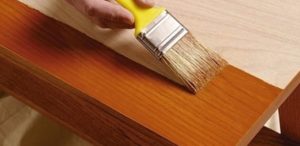 Dirtblaster home deep cleaning services pune